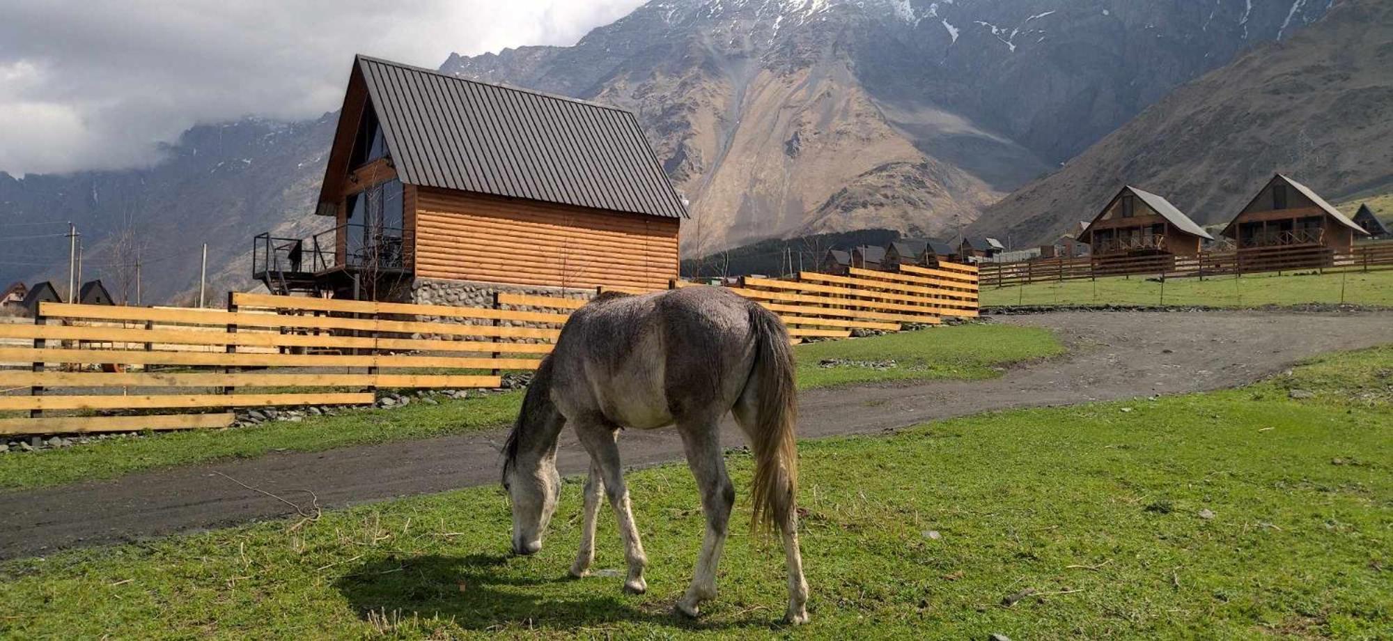 Traveler'S Cottages In Kazbegi Exterior photo